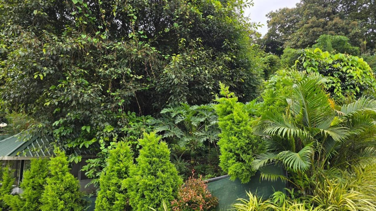 Green Aura 호텔 술탄 바테리 외부 사진